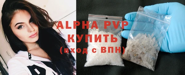 ПСИЛОЦИБИНОВЫЕ ГРИБЫ Инта
