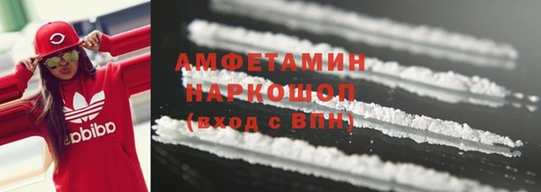 ПСИЛОЦИБИНОВЫЕ ГРИБЫ Инта
