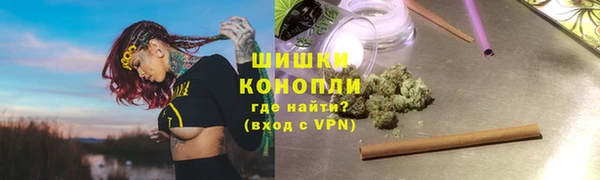 ПСИЛОЦИБИНОВЫЕ ГРИБЫ Инта