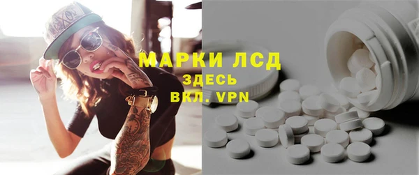 ПСИЛОЦИБИНОВЫЕ ГРИБЫ Инта