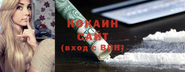 ПСИЛОЦИБИНОВЫЕ ГРИБЫ Инта